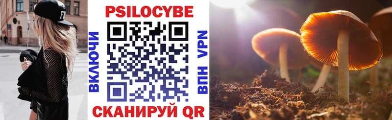 Псилоцибиновые грибы MAGIC MUSHROOMS  Терек 