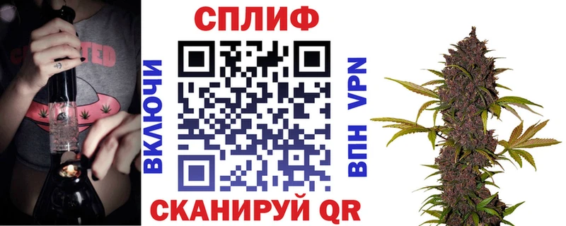 Бошки Шишки конопля  Терек 